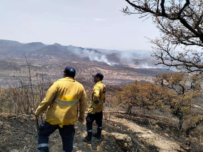 Extinguidos incendios forestales de Tel de Gonzlez Ortega y Monte Escobedo